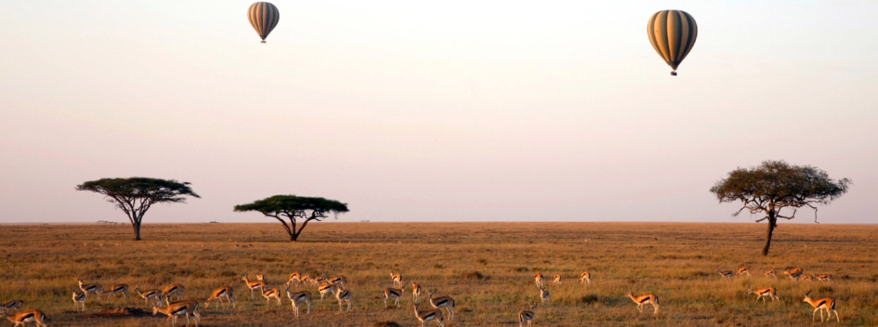 Serengeti Hot Air Balloon Safari