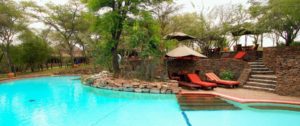 serengeti serena safari lodge