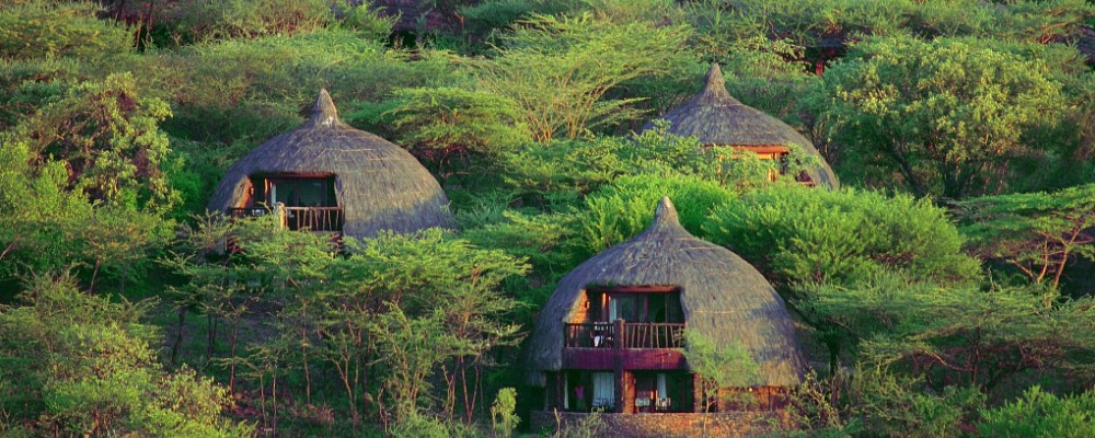 serengeti serena lodge