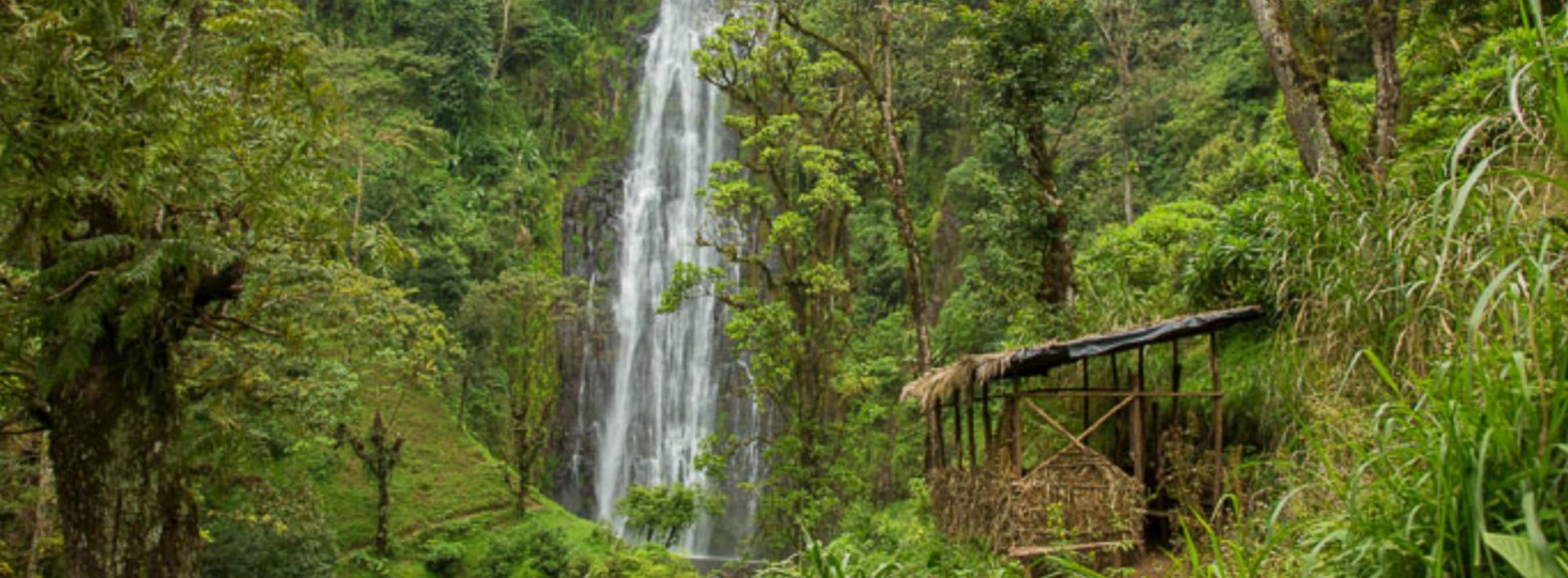 Day Tour to Materuni Water Falls