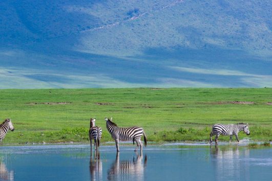 3 Days Serenget and Tarangire  safari