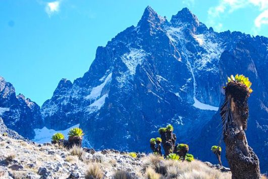 Mt. Kenya & Equator – Day trip {Sirimon}