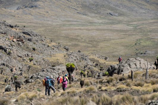 4 Days Mt. Kenya Climb. {Traverse Sirimon- Naromoru}