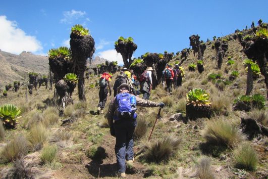 4 Days Express Mt. Kenya Traverse Climb {Sirimon- Chogoria}