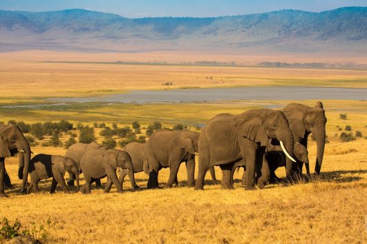 4 DAYS NORTHERN SAFARI