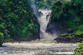 7DAYS UGANDA SAFARI